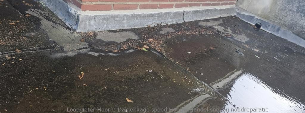 Daklekkage Spoed Hoorn