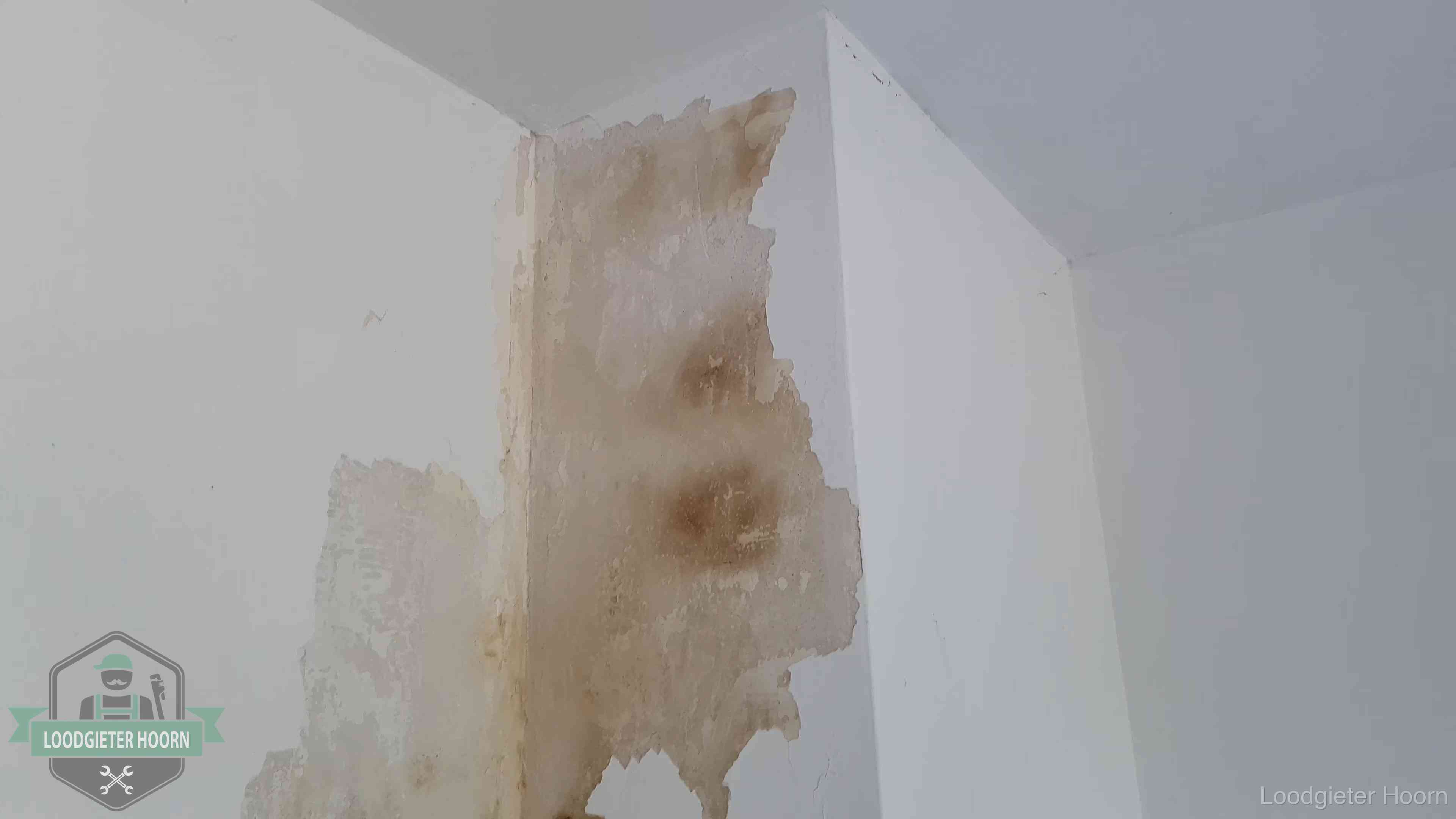 Daklekkage herkennen in Hoorn Bruine vochtkringen en afbladderend stucwerk op een binnenmuur in Hoorn, een eerste teken van daklekkage