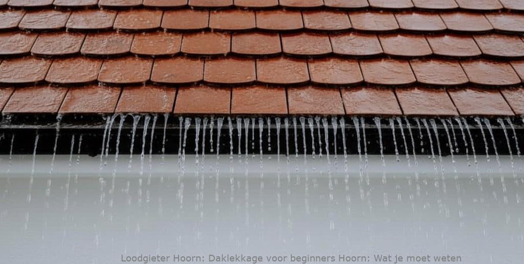 Daklekkage Voor Beginners Hoorn