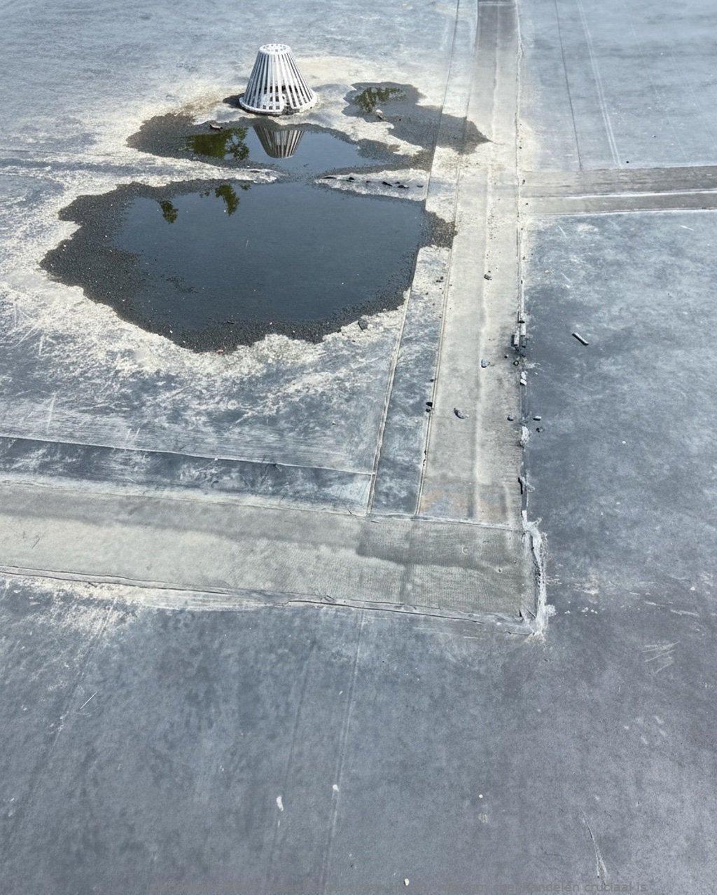 Daklekkage Winter Hoorn