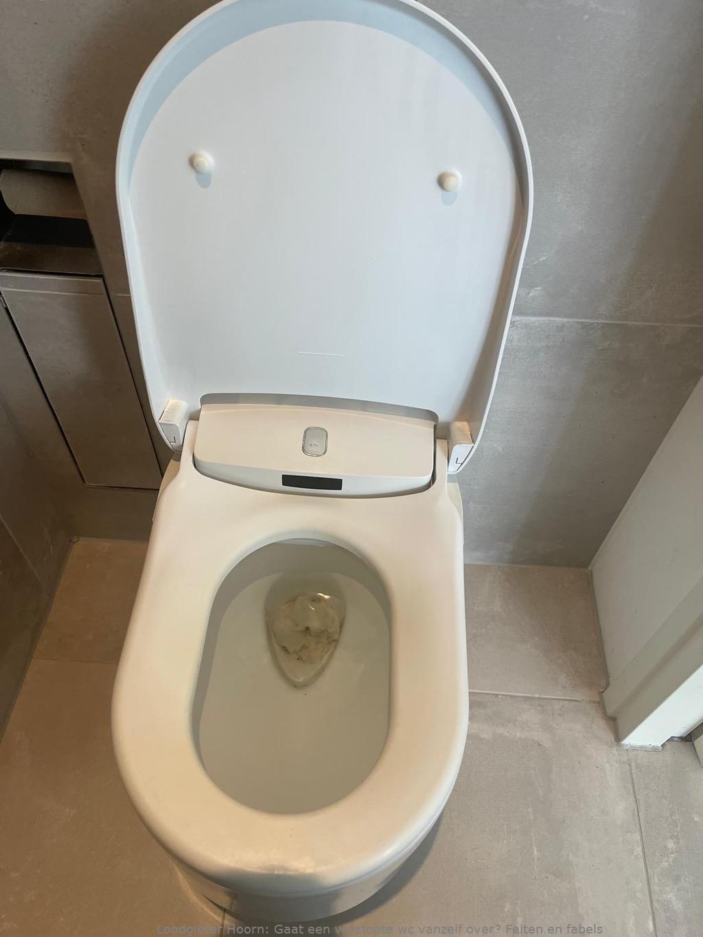 Herken Verstopte Wc Hoorn