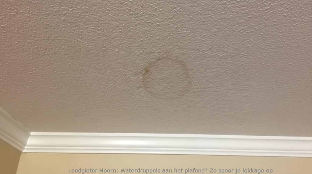 Lekkage Plafond Hoorn