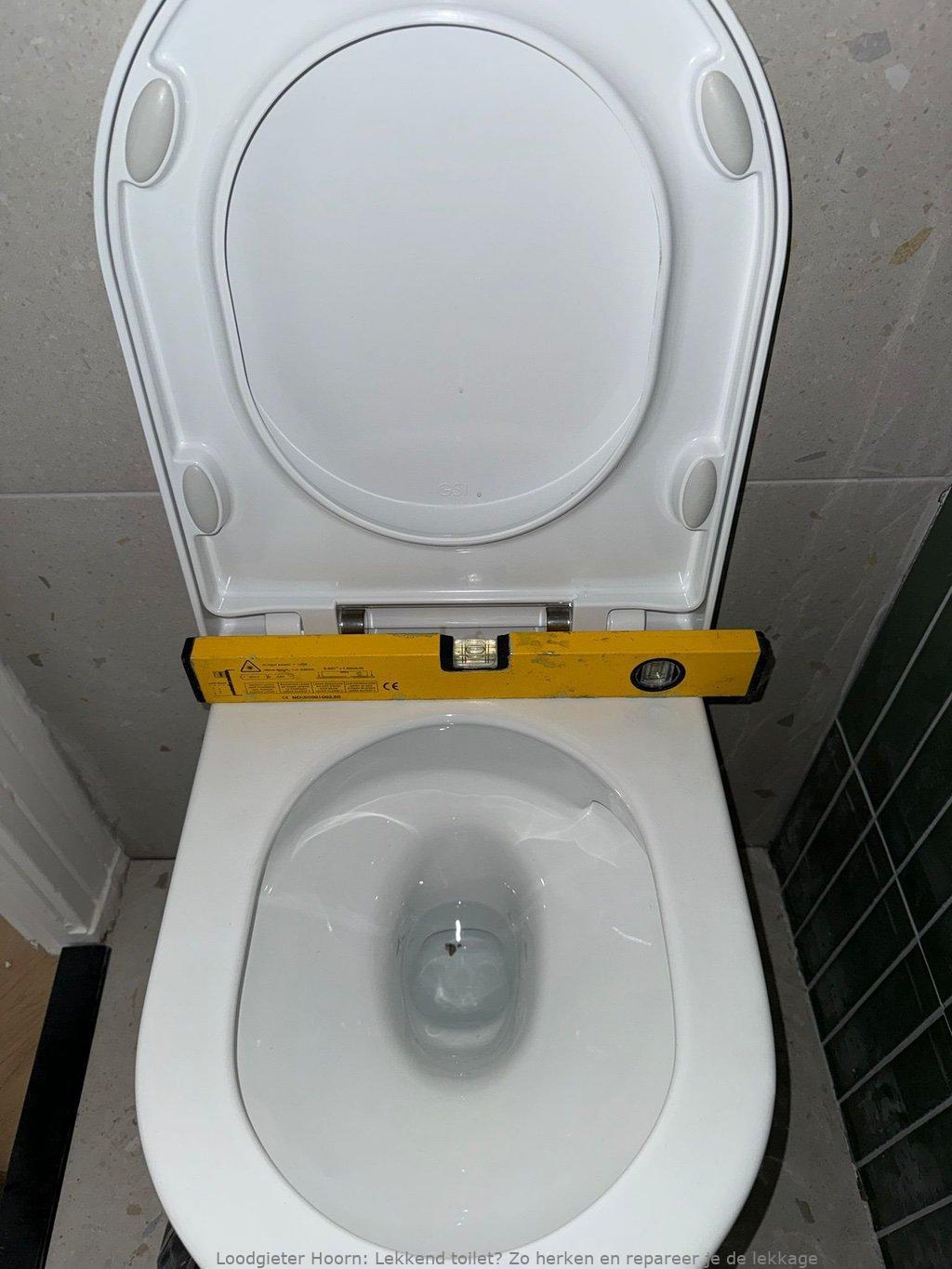 Lekkage Toilet Hoorn