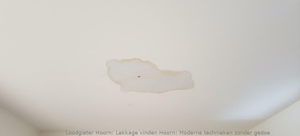 Lekkage Vinden Hoorn