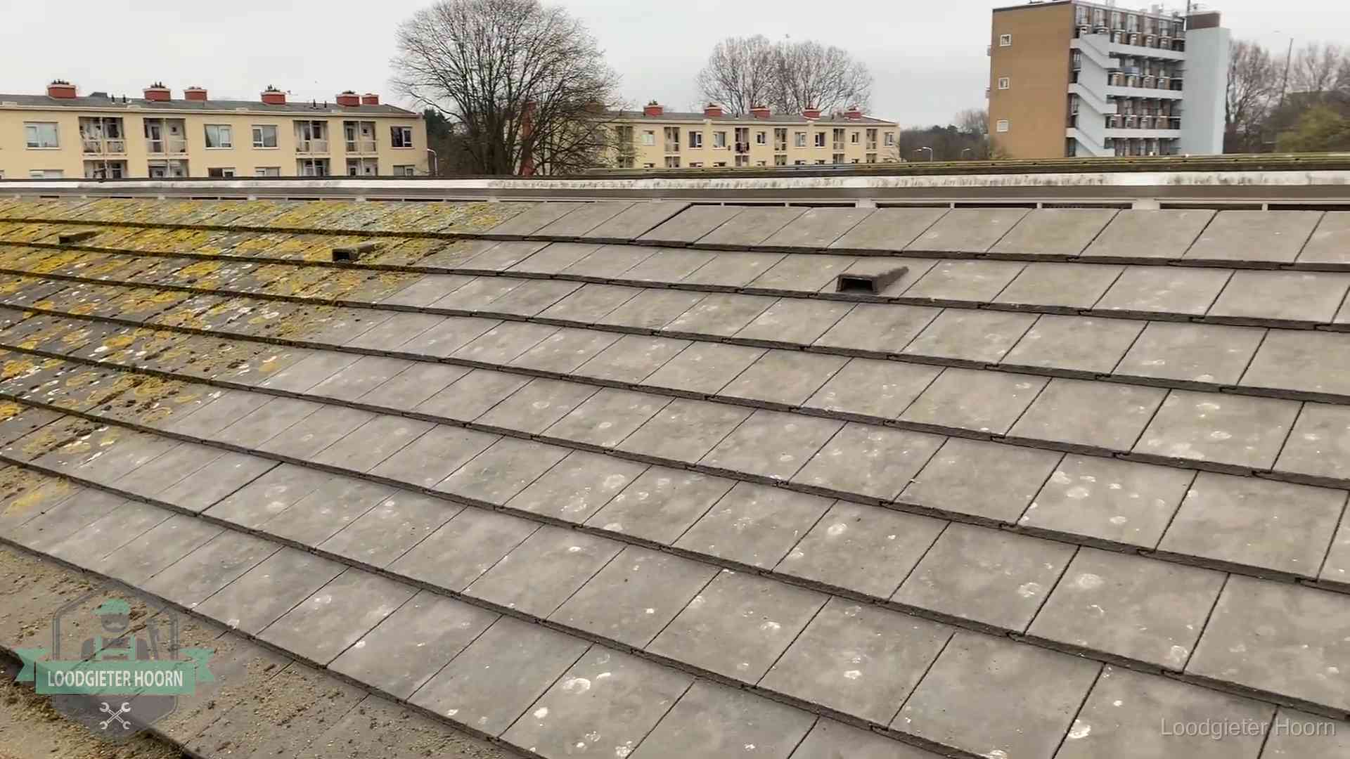 Dakpannen op een schuin dak in Hoorn Schuin dak met betonpannen vol mos in Hoorn, een risico op lekkage bij de pannen