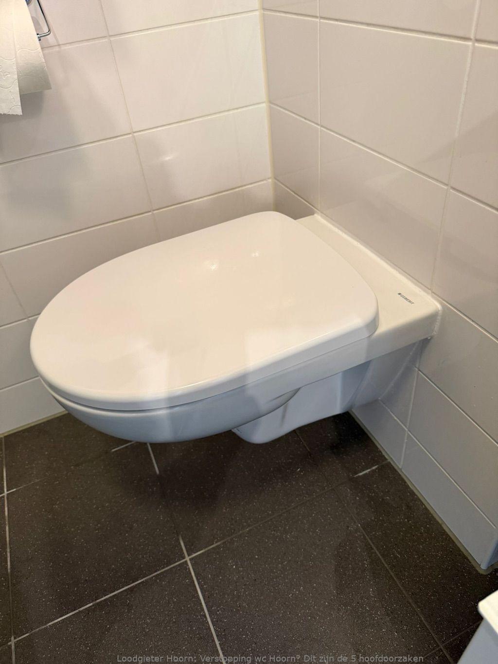 Tips Wc Verstopping Voorkomen Hoorn