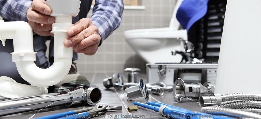 Toilet Installeren Hoorn