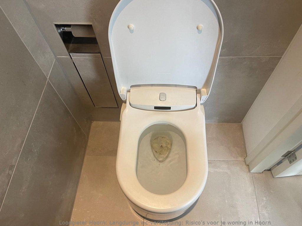 Toilet Verstopping Hoorn