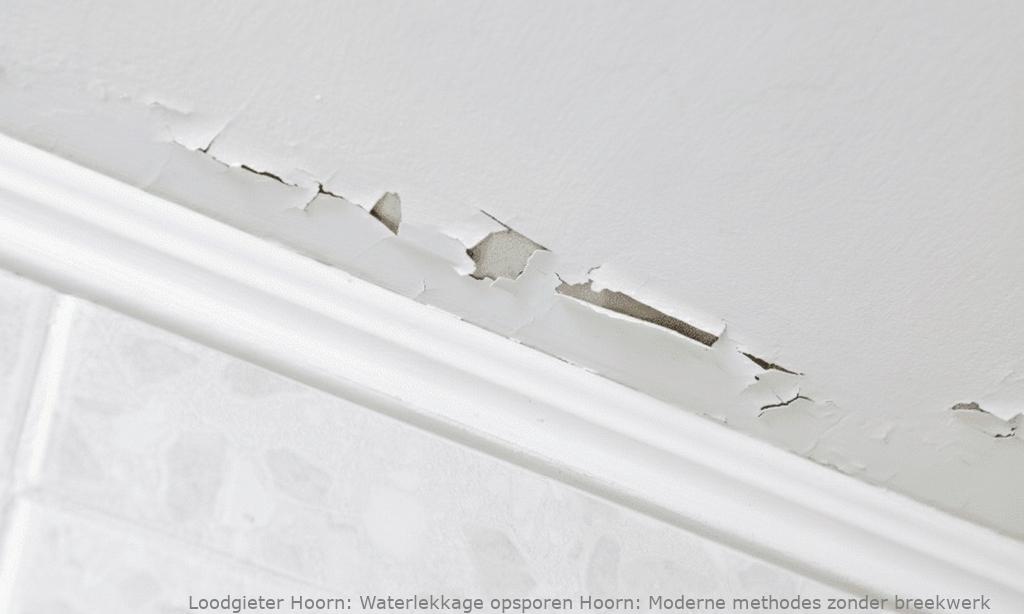 Waterlekkage Opsporen Hoorn